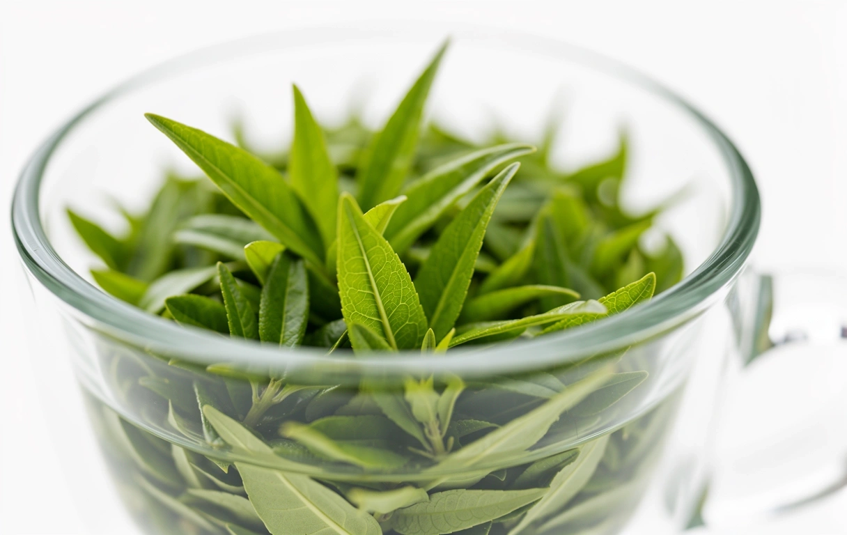 SundBalans Mat wellness